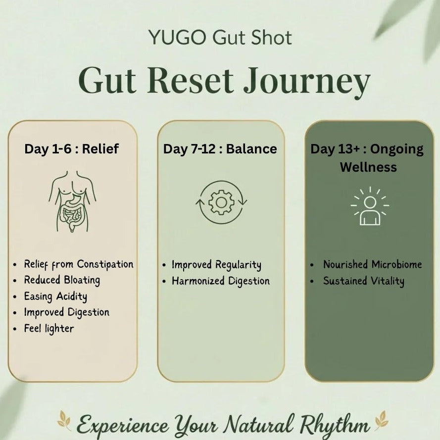Yugo Gut Shot Ayurveda’s Daily Gut Reset & Healing Drink (60ml × 6 Bottles)